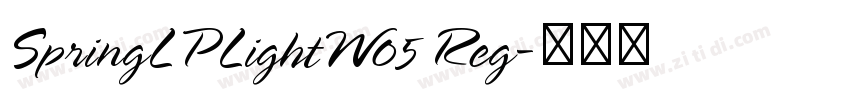 SpringLPLightW05 Reg字体转换